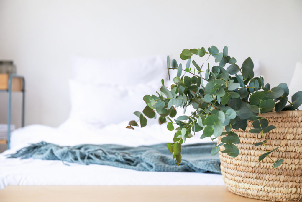 ベッドと植物の画像